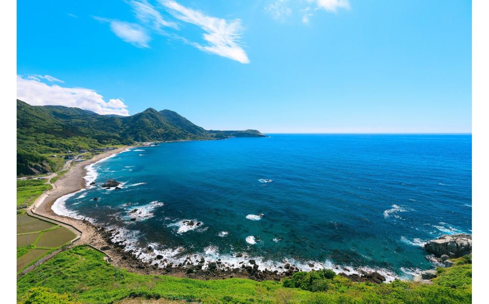 新潟県佐渡市 ANAトラベラーズダイナミックパッケージ クーポン22，500点分