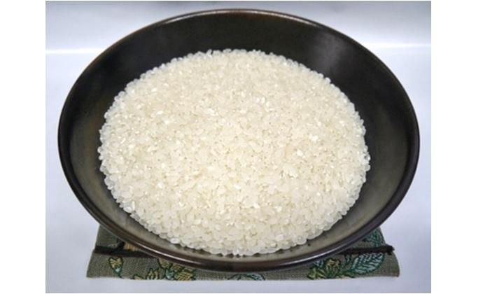 【令和7年産】佐渡産高千産こしひかり3kg×3袋(精米)+しそ味噌100gセット