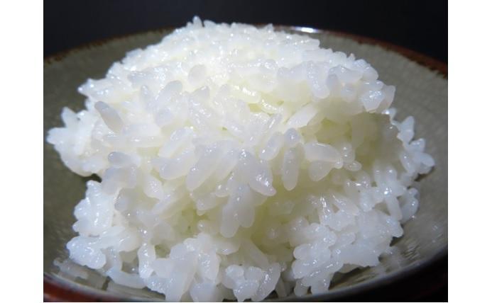 【令和7年産】佐渡高千産こしひかり　精米2kg×2袋　化粧箱入