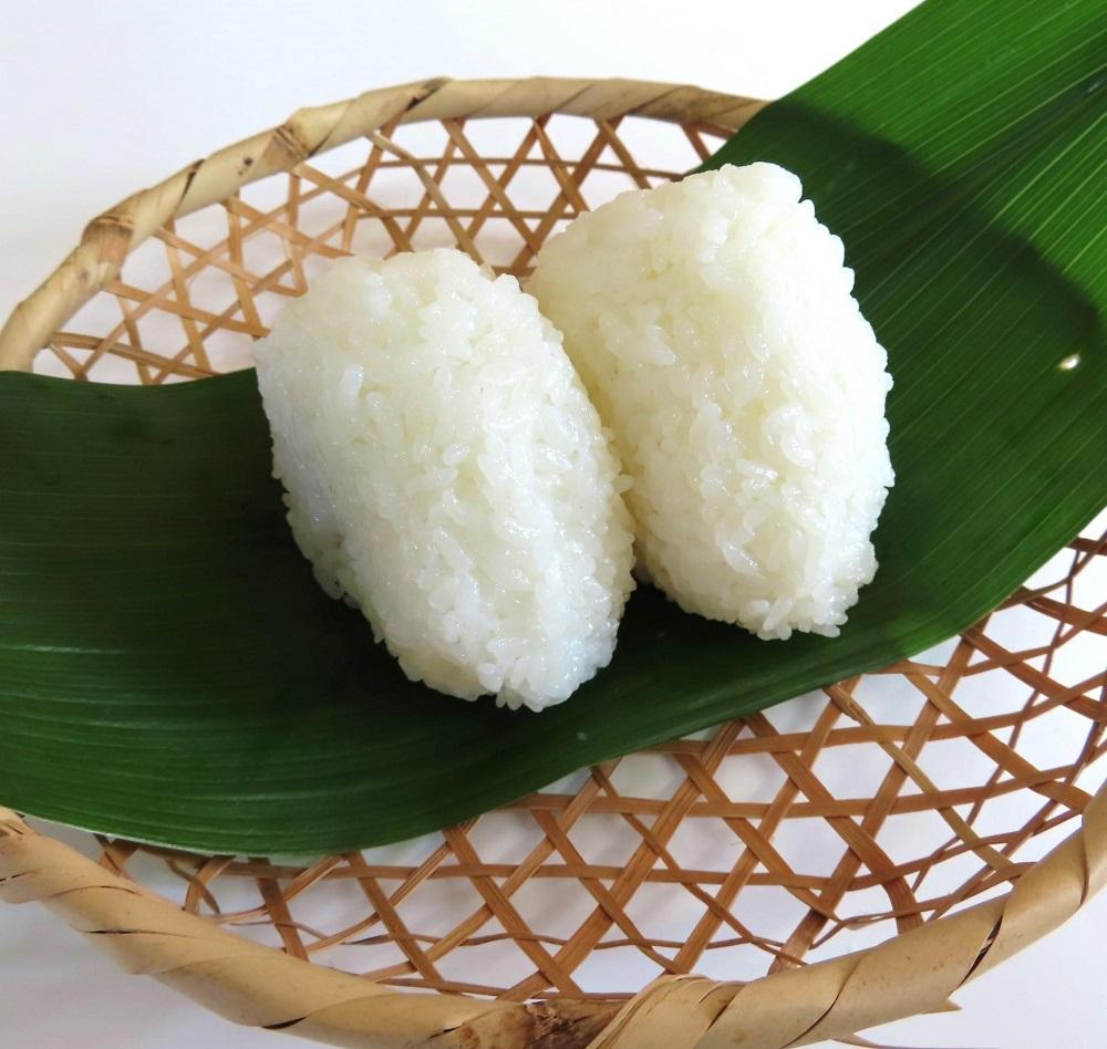 【令和7年産】佐渡高千産こしひかり　150g(1合)×20袋セット