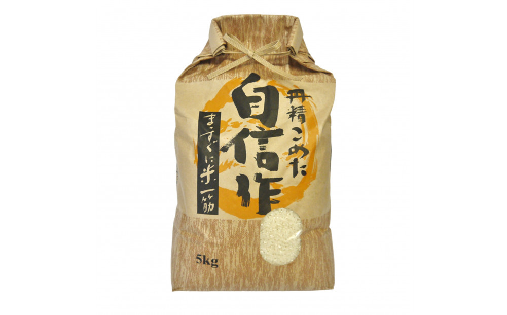 【令和7年産】佐渡産もち米 こがねもち 精米5kg×1袋