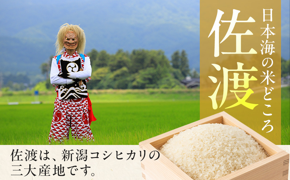 【令和7年産】だるま庵農園の自然栽培虹のきらめき精米9キロ【2025年10月中旬より順次発送】