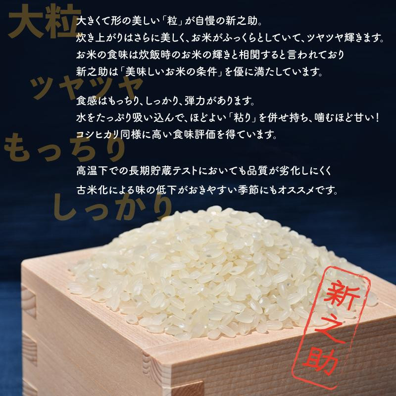 佐渡島産 新之助 無洗米5kg×1袋