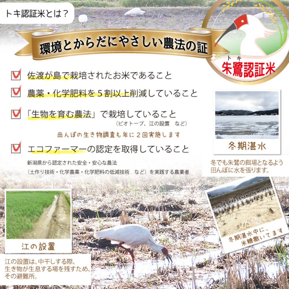 佐渡島産コシヒカリ「朱鷺と暮らす郷」白米10kg(5kg×2袋) 令和7年産 特別栽培米