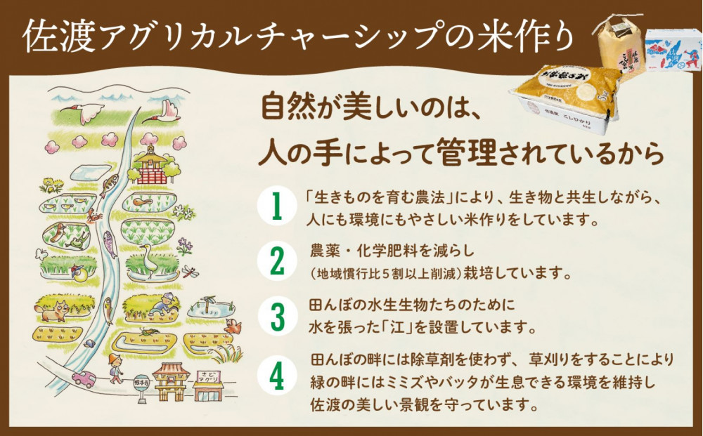 【令和7年産】佐渡島産 特別栽培米こしひかり「大野郷の米」精米2kg×6回 定期お届けコース