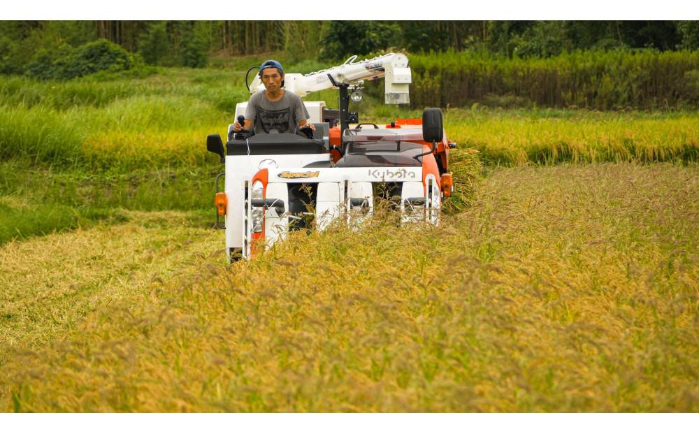 【令和7年度産】高島農場の農薬不使用コシヒカリ精米10kg