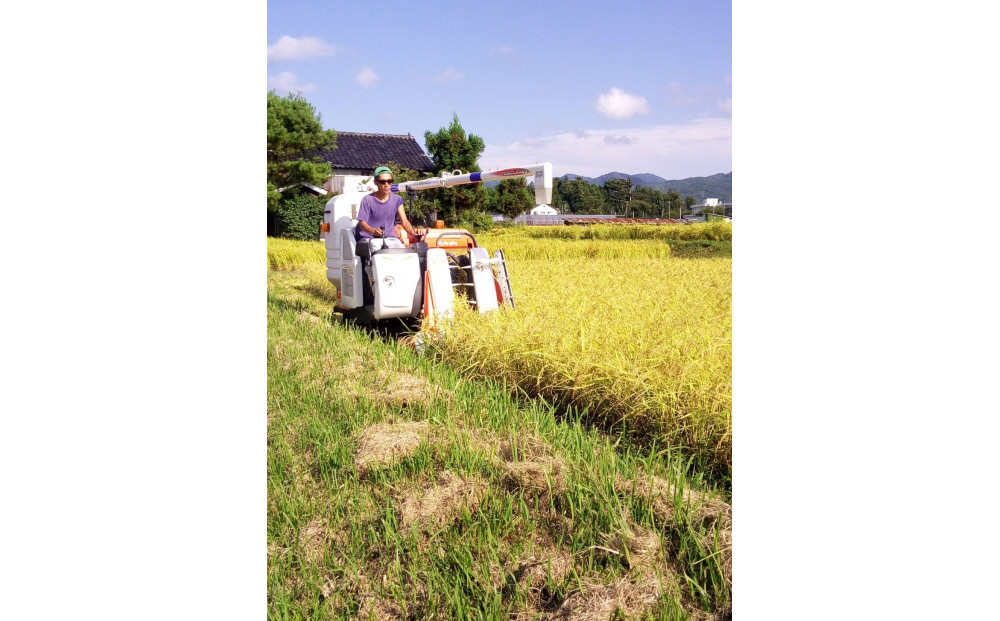 高島農場のおこげせんべい6袋【農薬不使用】
