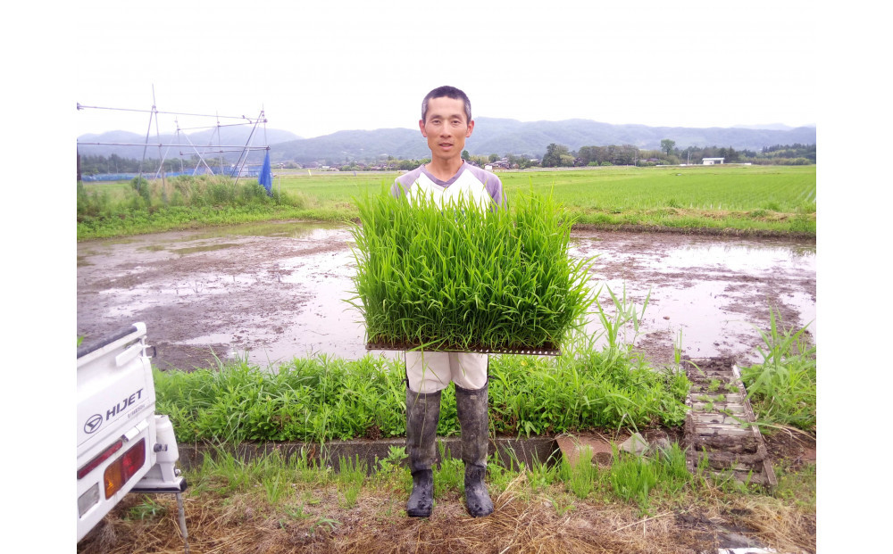 【令和7年度産】高島農場の農薬不使用ササニシキ30kg玄米