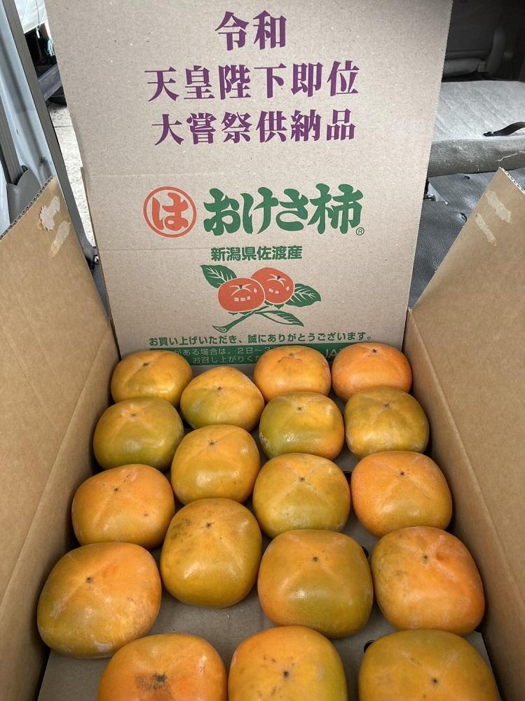 【家庭用】大きくて甘い佐渡のおけさ柿　2L～3Lサイズ　おまかせ（約7.5kg）