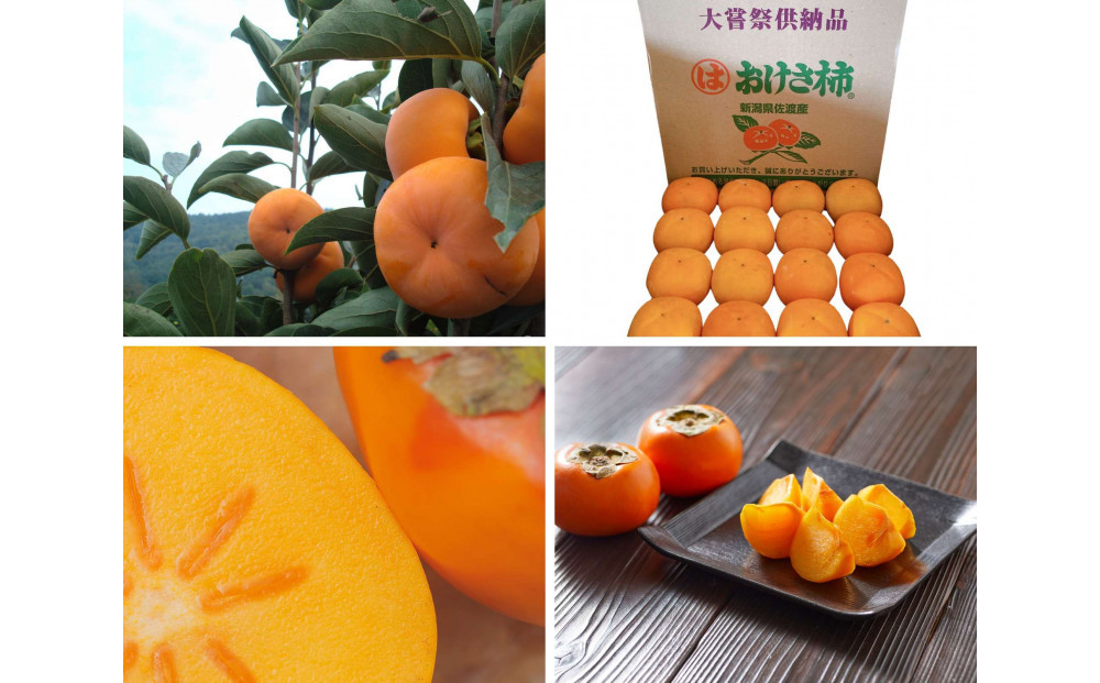 【贈答用】佐渡の秋を贈るやさしい一箱。おけさ柿【秀品】M～Lサイズ（約7.5kg／M約40玉・L約36玉）贈答用おまかせ