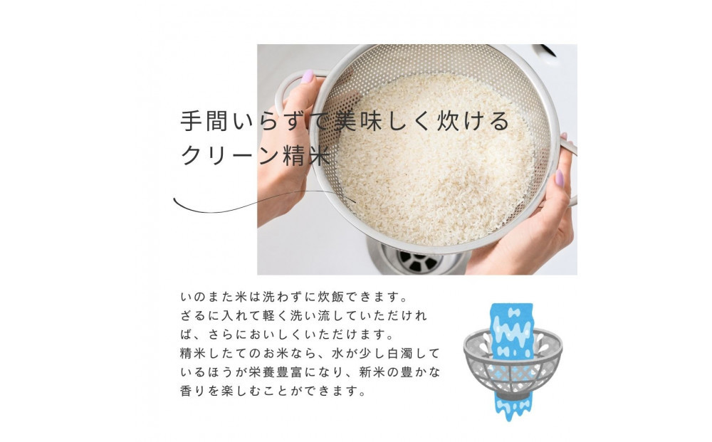 令和7年産コシヒカリ　精米（無洗米）2kg　農家直送　佐渡市いのまた米