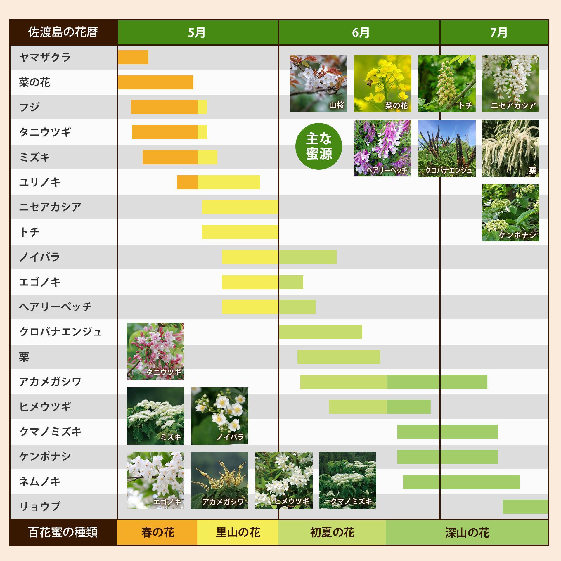 佐渡島はちみつ(非加熱・無加工)百花蜜2本セット(深山の花・里山の花 / 各1本)　160ｇ×2本
