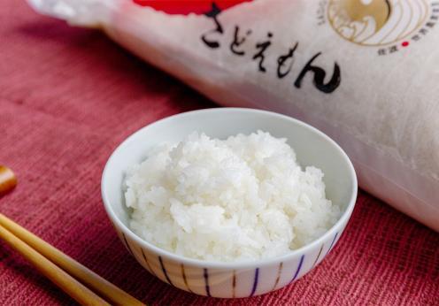 【令和7年米】自社栽培米佐渡産こしひかり（精米30kg）