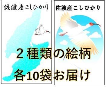 【令和7年産】佐渡高千産こしひかり　150g(1合)×20袋セット