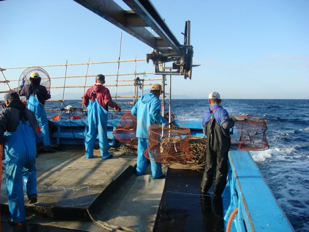 佐渡産 南蛮エビ（甘エビ）冷凍 500g（約40尾）