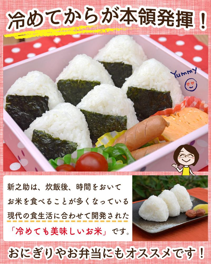 佐渡島産 新之助 無洗米5kg×1袋