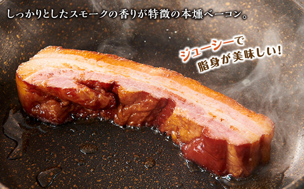 へんじんもっこ生サラミ入り厳選9種セット