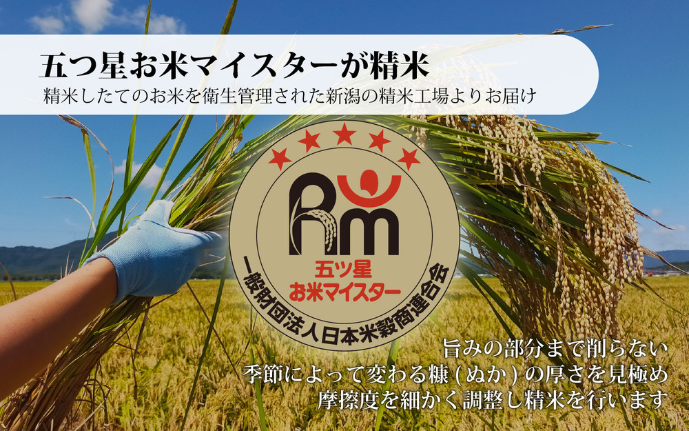 無洗米佐渡産コシヒカリ 5kg 令和7年産