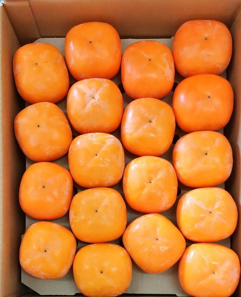 柿 おけさ柿 赤秀 Lサイズ 18玉 種なし