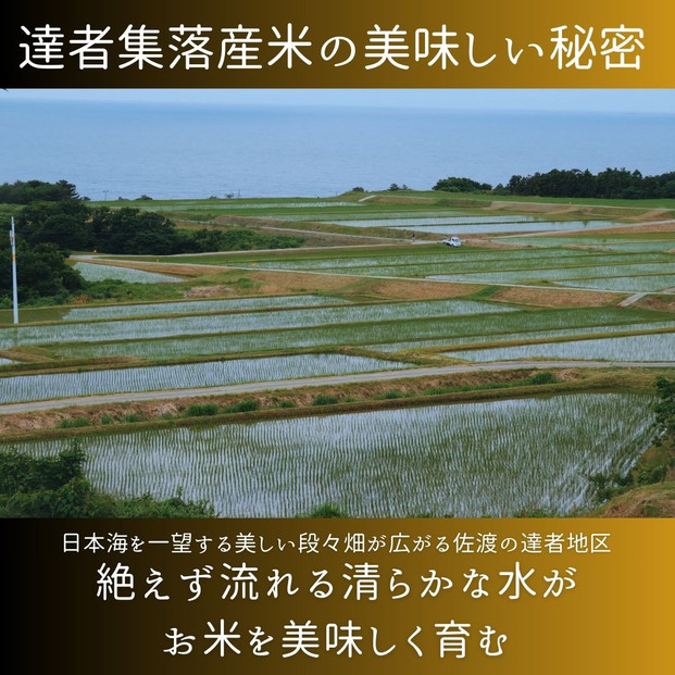 【新潟県佐渡】達者集落産コシヒカリ＜数量限定・生産地域限定＞ 令和７年産 精米【無洗米】5kg 送料無料