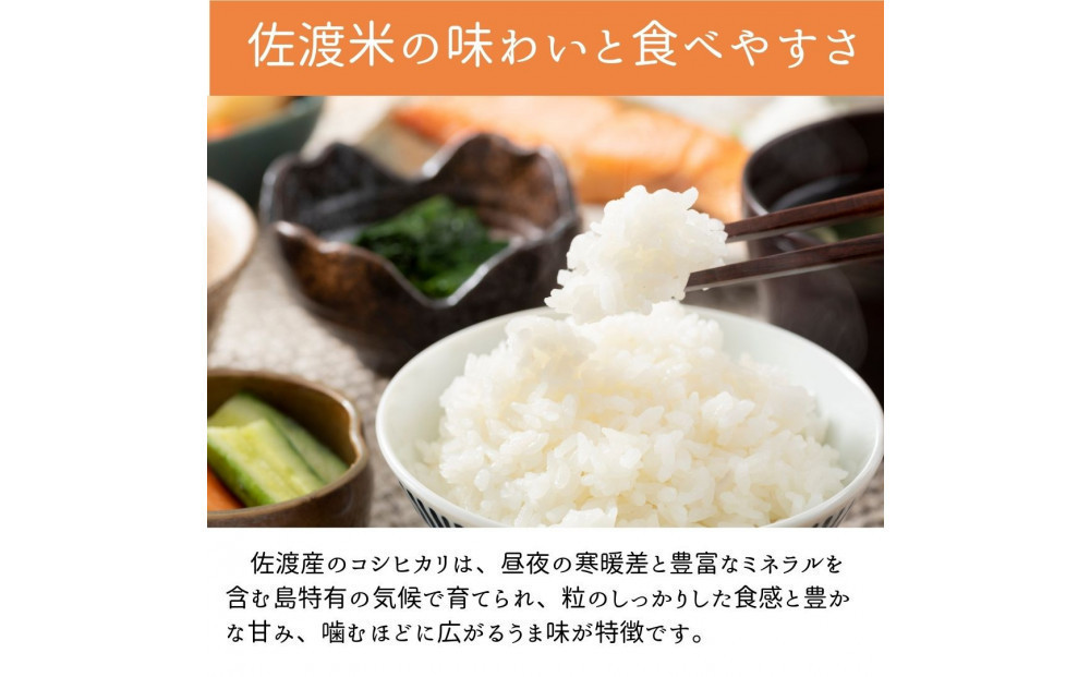 ＜定期便3回＞【令和７年産・数量限定】新潟県佐渡産の純粋コシヒカリ　精米【無洗米】5kg×3回　送料無料　R8年  1月上旬～R8年3月上旬の3回送付