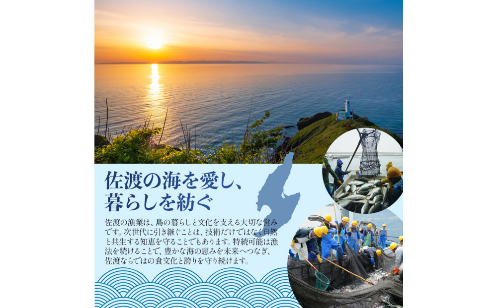 鮭〈先行予約2026年2月発送・佐渡水揚げ限定〉【新潟県佐渡】日本海の宝・佐渡から届く、極上の海の幸　漬魚　佐渡産の鮭と佐渡の伝統的な3種の味付け　焼き上げ加工済み　湯せん・レンチンでお手軽　食卓で本格的な味