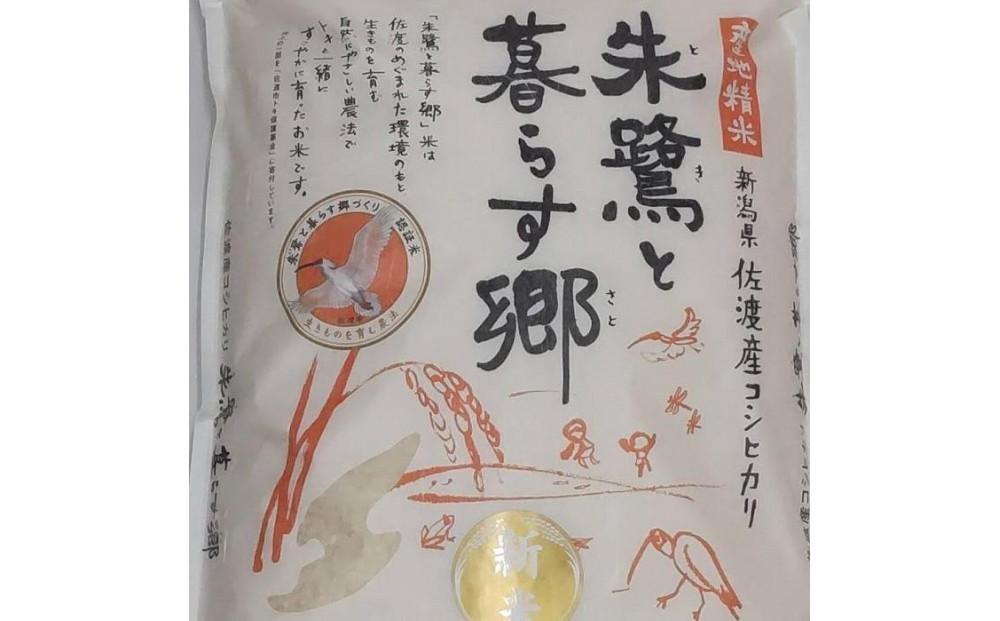 令和7年産 佐渡産コシヒカリ米「朱鷺と暮らす郷」5kg 佐渡・今井茂助商店おすすめ