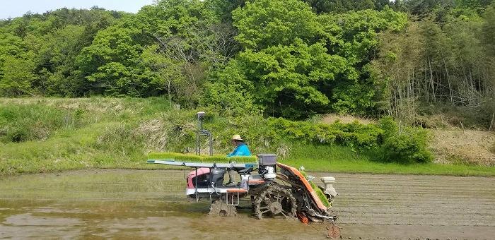 【令和7年産】10kg 新潟県佐渡産コシヒカリ10kg(5kg×2)×3回「3カ月定期便」