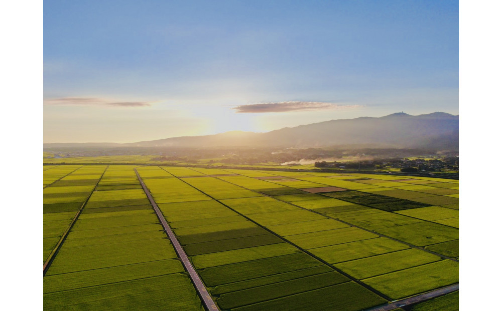 令和7年産　佐渡産コシヒカリ　5キロ　精米　白米　
