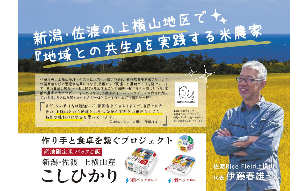 【2ヶ月定期便】新潟県佐渡産コシヒカリ　パックご飯180g×36個【産地・生産者限定米】