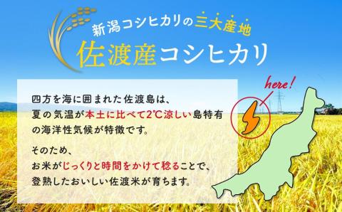 無洗米30kg 新潟県佐渡産コシヒカリ30kg(5kg×6): 佐渡市ANAのふるさと納税