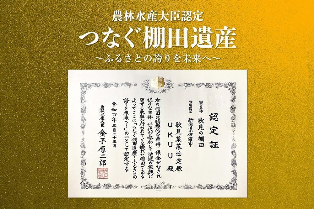 米 コシヒカリ 佐渡産 ( 5kg ) 棚田米 佐渡市歌見地区【令和7年米】