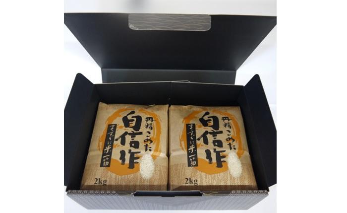 【令和7年産】佐渡高千産こしひかり　精米2kg×2袋　化粧箱入