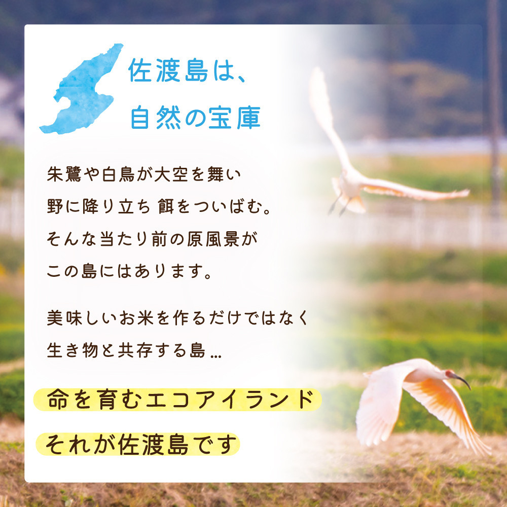 佐渡島産コシヒカリ「朱鷺と暮らす郷」無洗米15kg(5kg×3袋) 令和7年産 特別栽培米