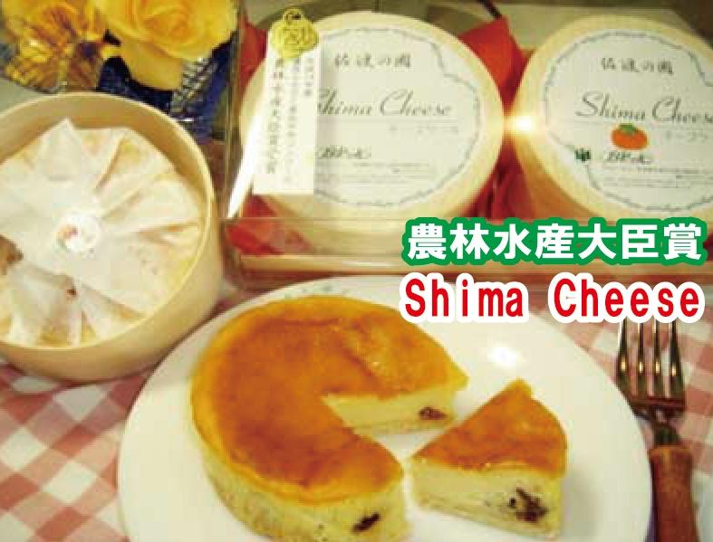 佐渡金銀山セットA