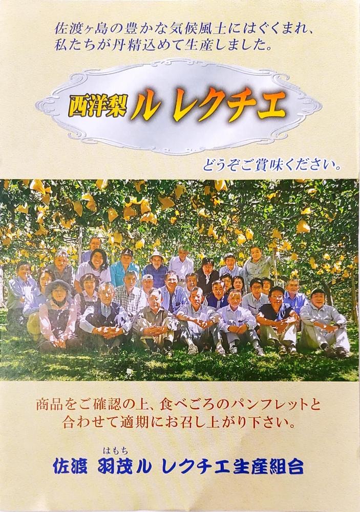 梨 ル・レクチエ 2kg ( 5～6個 ) 贈答用