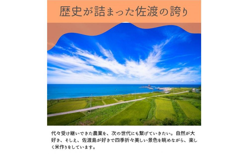 ＜数量限定＞【令和6年産】新潟県佐渡産のコシヒカリ　精米【無洗米】5kg　送料無料