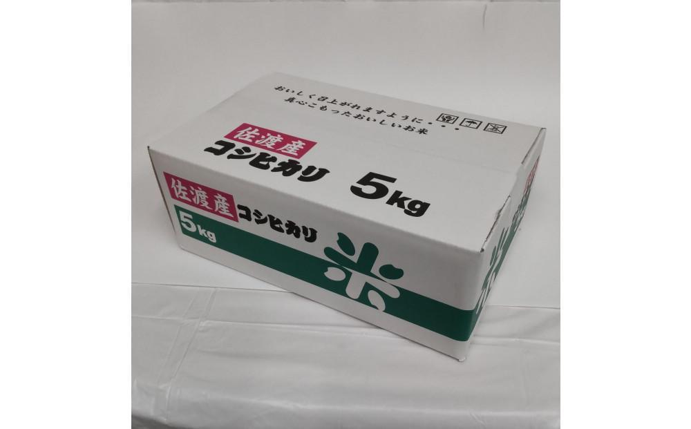 令和7年産 佐渡産コシヒカリ米「朱鷺と暮らす郷」5kg 佐渡・今井茂助商店おすすめ