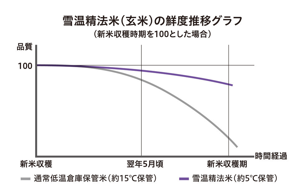 【令和7年産　頒布会】雪温精法　佐渡産こしひかり2kg×3回