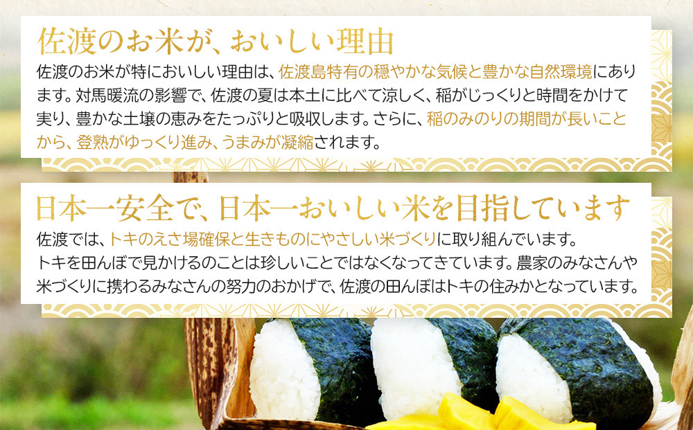 【レビューキャンペーン実施中！】令和7年産 佐渡 川上農産のコシヒカリ 定期便（2kg×2×全3回）