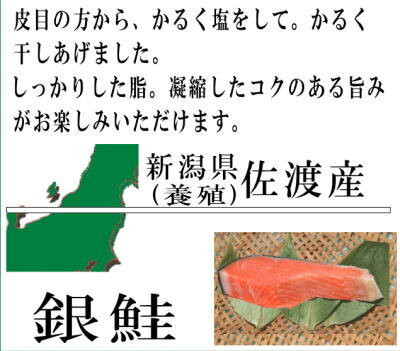 佐渡産ふっくら銀鮭（8切）