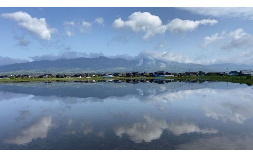 令和7年産　佐渡産コシヒカリ　5キロ　精米　白米　