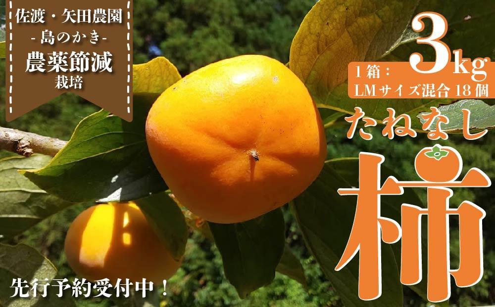 たねなし柿（島のかき）農薬節減栽培　3キロ