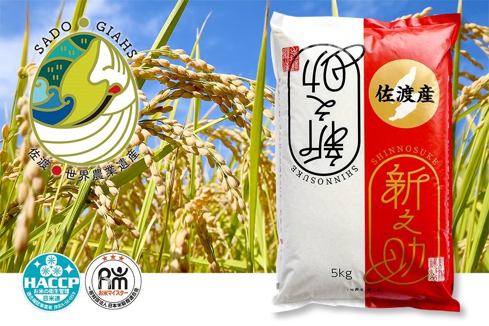 新潟県佐渡市産 新之助 精米 5kg【令和7年米】