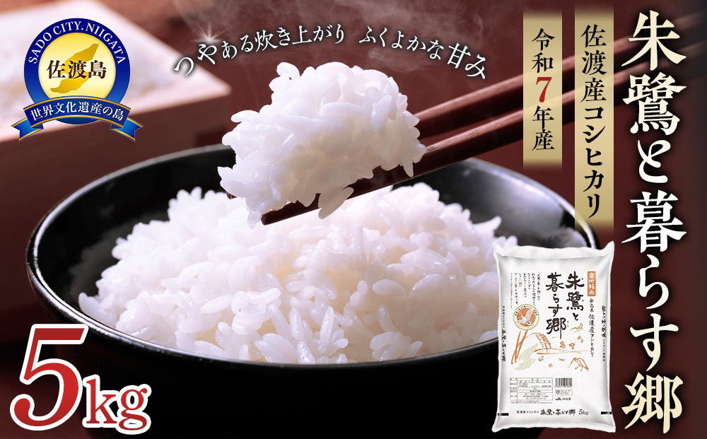 米 朱鷺と暮らす郷 佐渡産 コシヒカリ ( 5kg ) 【令和7年産】