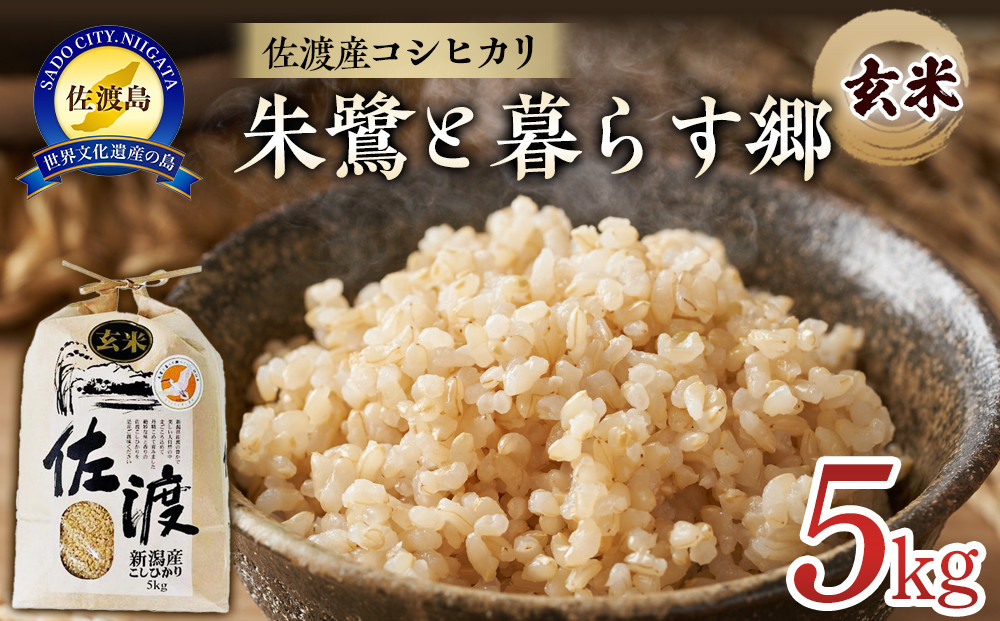 米 玄米 朱鷺と暮らす郷 佐渡産 コシヒカリ ( 5kg ) 【令和6年産】