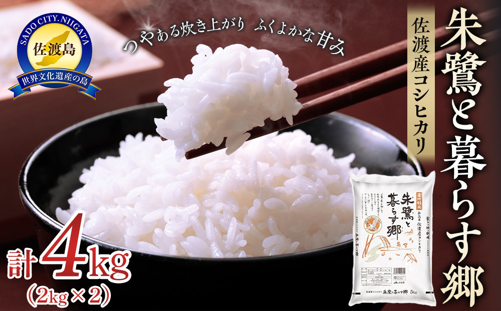 米 朱鷺と暮らす郷 佐渡産 コシヒカリ ( 2kg×2 ) 【令和6年産】