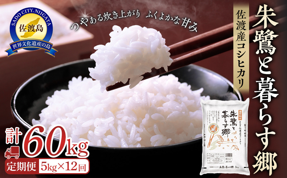 米 定期便 朱鷺と暮らす郷 佐渡産 コシヒカリ ( 5kg × 全12回 ) 【令和6年産】