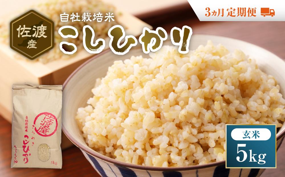 自社栽培米佐渡産こしひかり（玄米5kg）３カ月定期便