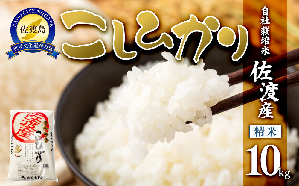 【令和7年米】自社栽培米佐渡産こしひかり（精米10kg）